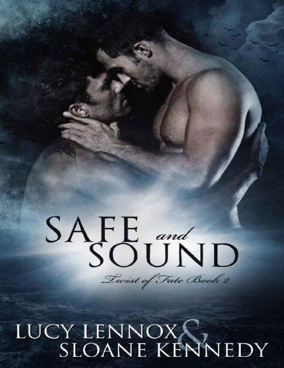 Safe And Sound Twist Of Fate Book 2 Lucy Lennox Sloane Kennedy