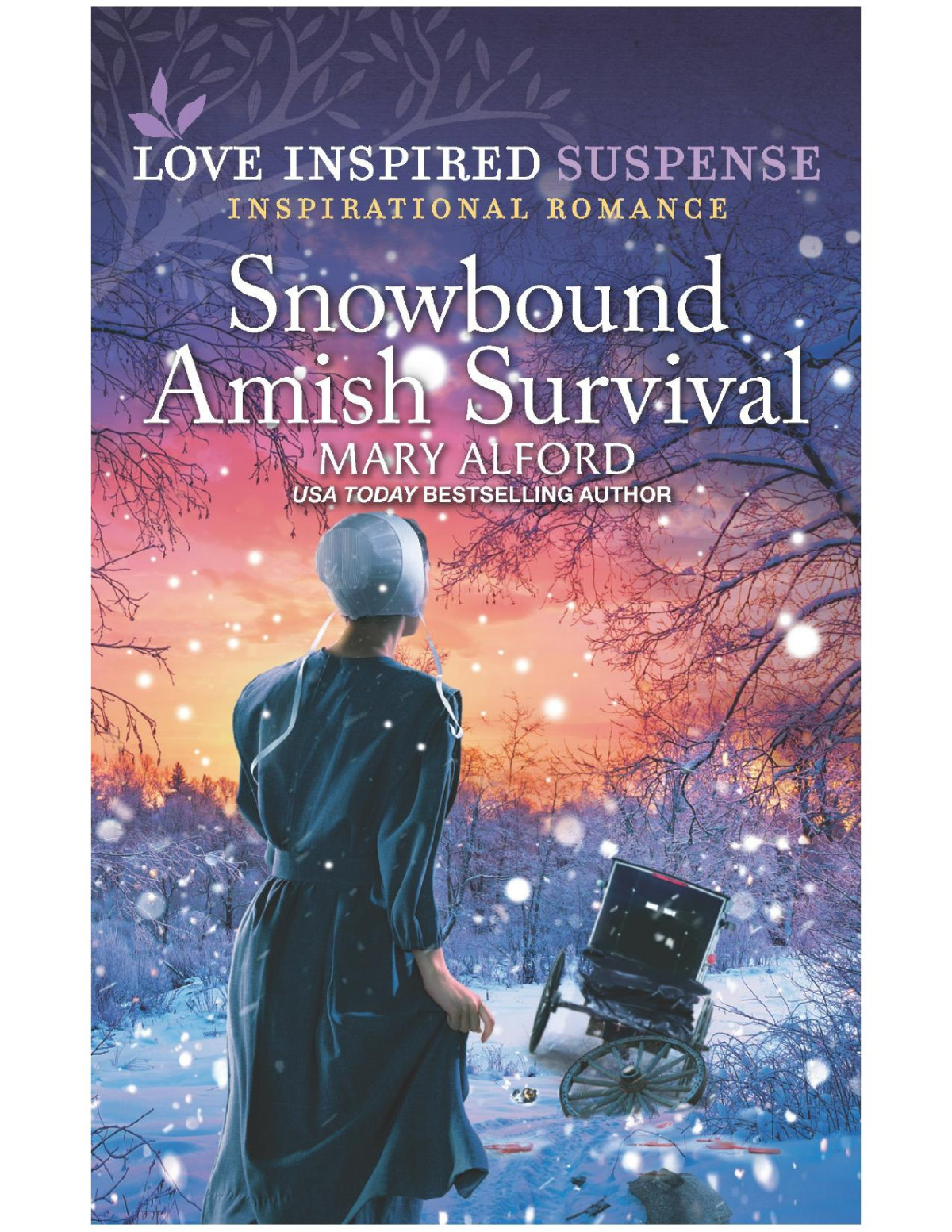 Snowbound Amish Survival Mary Alford