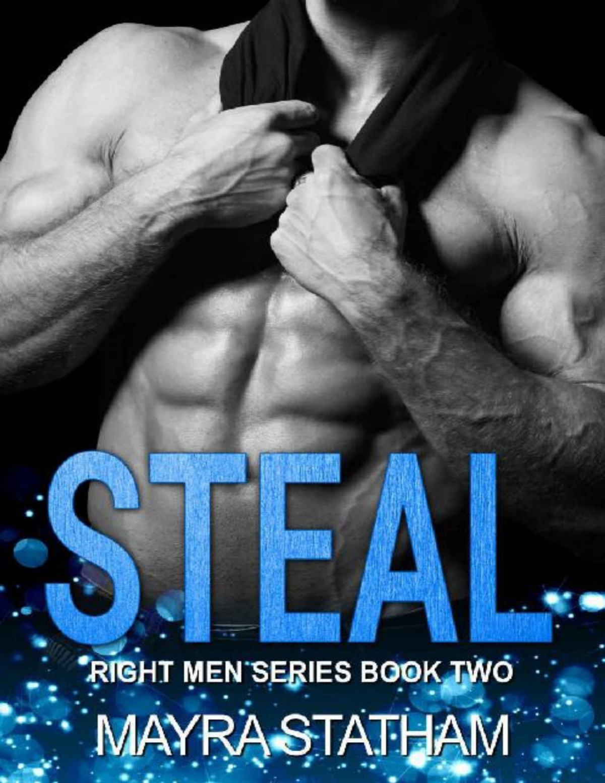 Steal Right Men Series Book 2 Mayra Statham