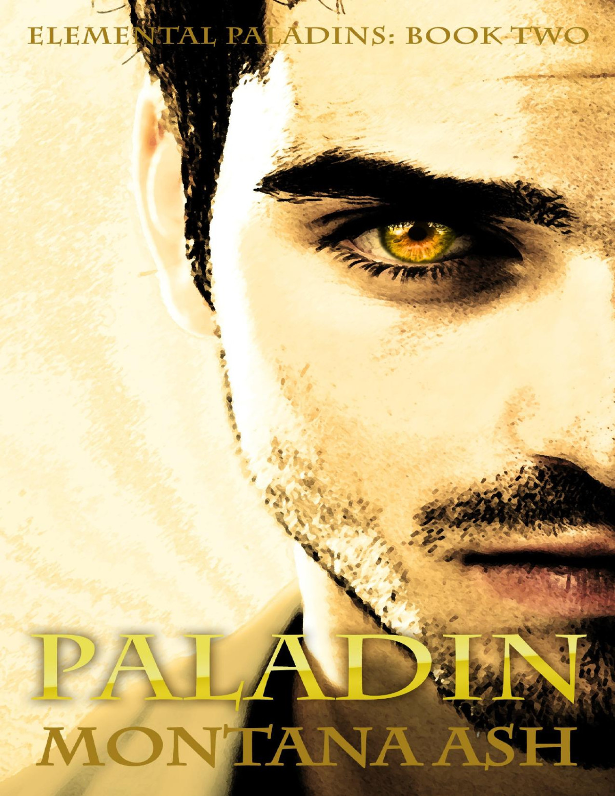 Paladin Book Two Of The Elemental Paladins Series Montana Ash