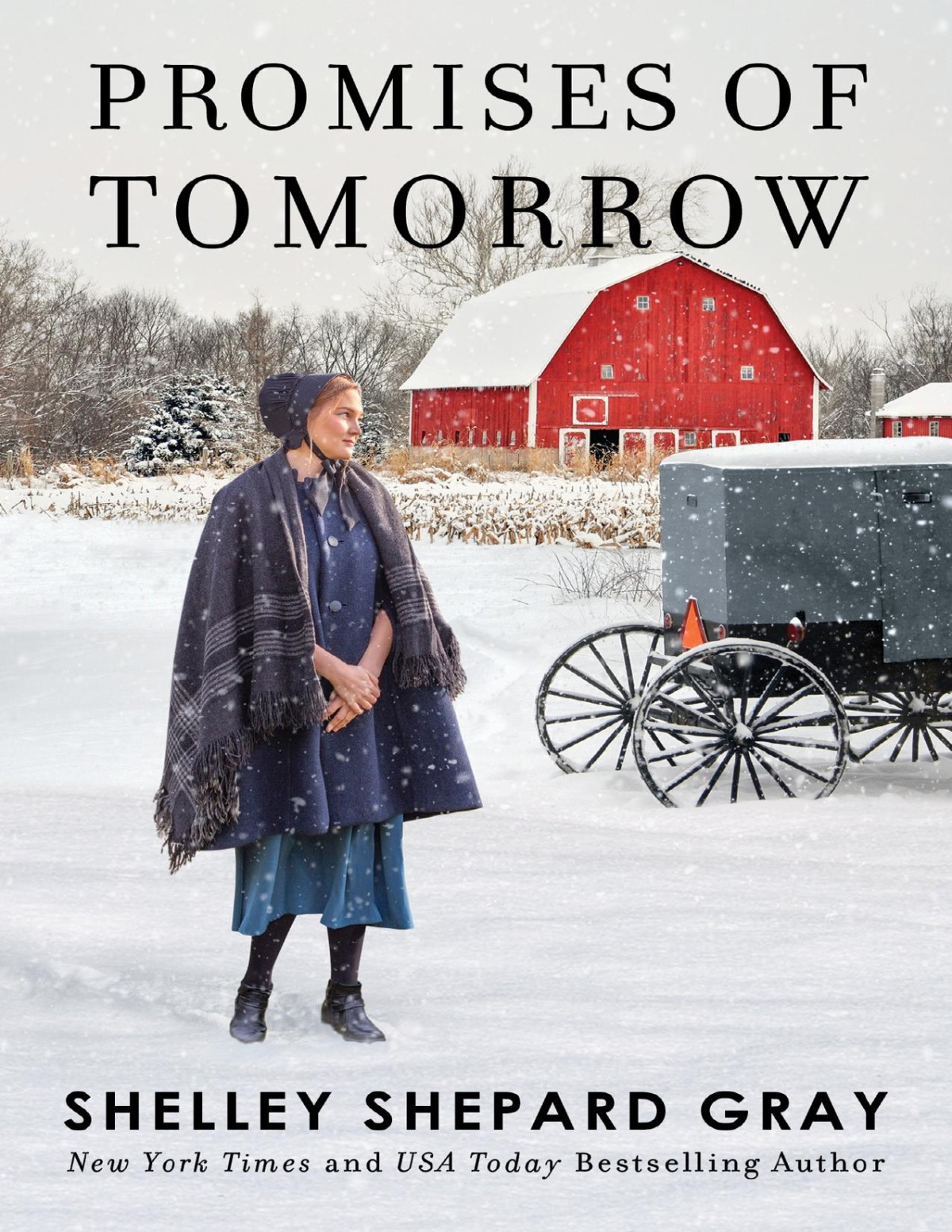 Promises Of Tomorrow Shelley Shepard Gray