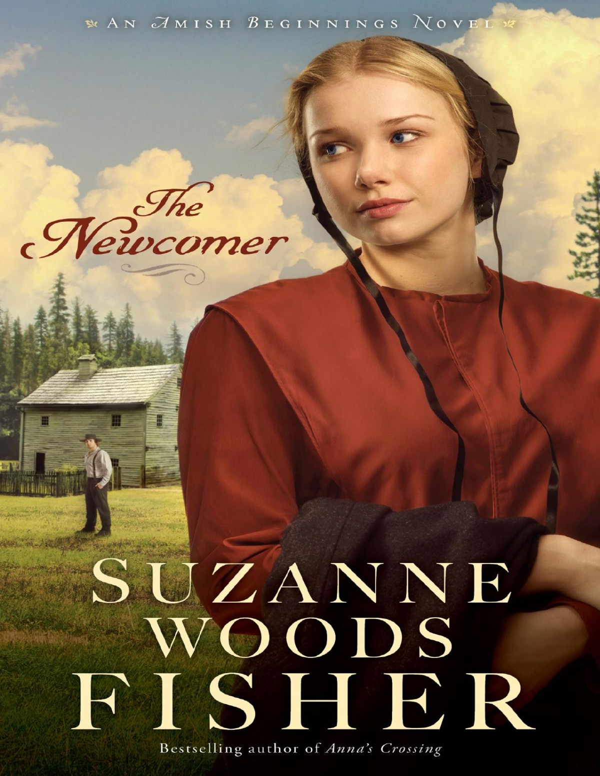 The Newcomer Suzanne Woods Fisher