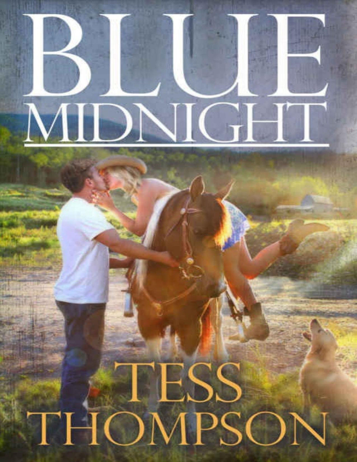 Blue Midnight Blue Mountain Book 1 Tess Thompson