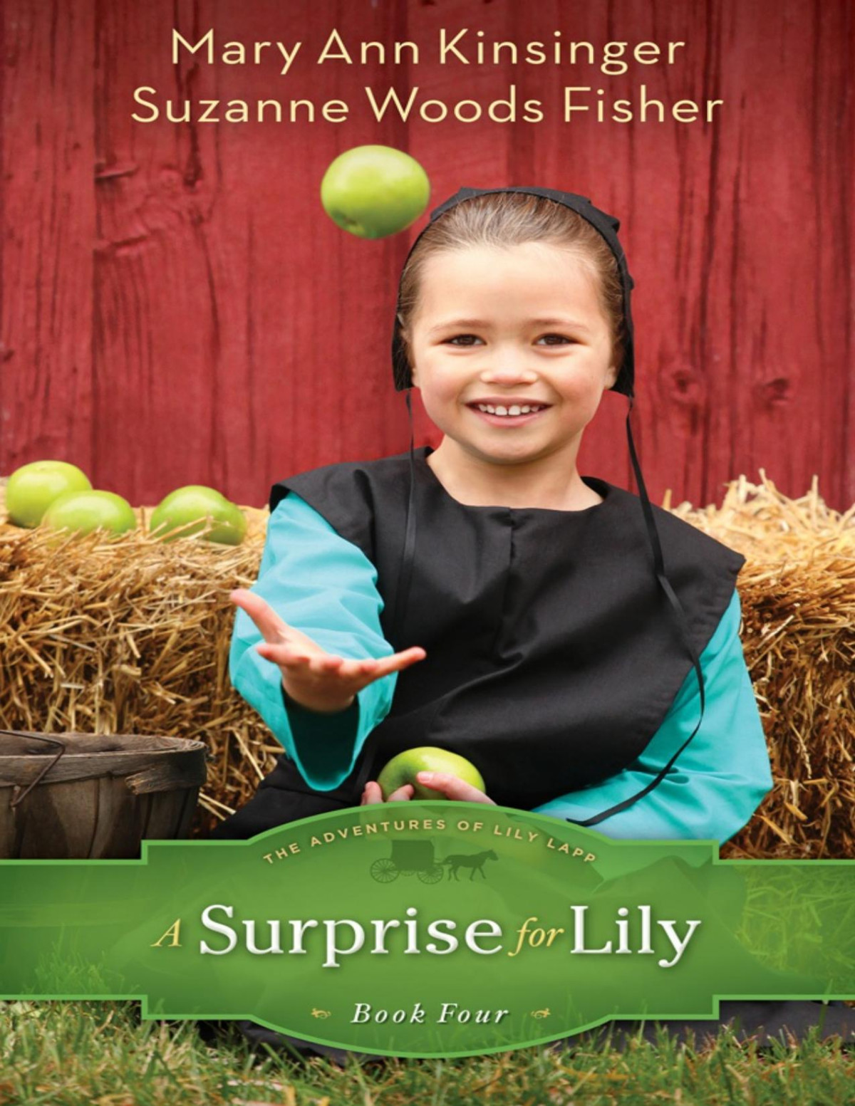 A Surprise For Lily Mary Ann Kinsinger