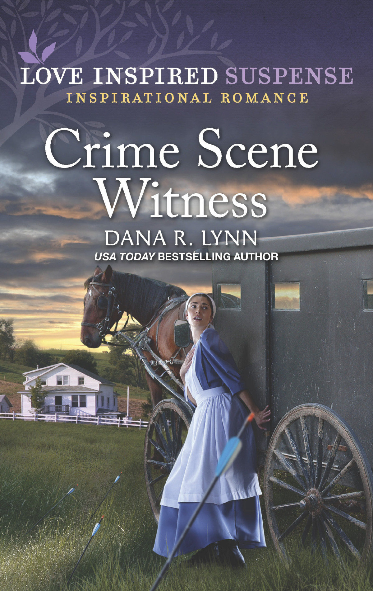 Crime Scene Witness Dana R Lynn