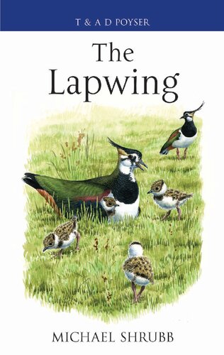 The Lapwing Michael Shrubb