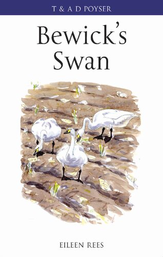Bewicks Swan Eileen C Rees