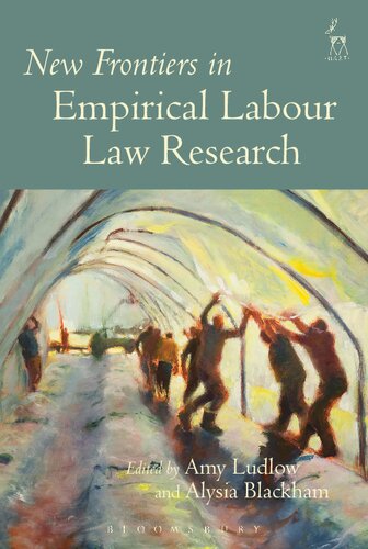 New Frontiers In Empirical Labour Law Research Amy Ludlow Alysia Blackham Editors