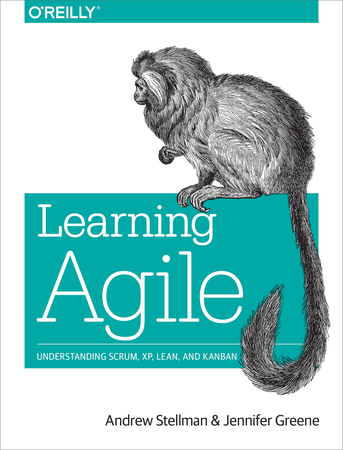 Learning Agile Andrew Stellman