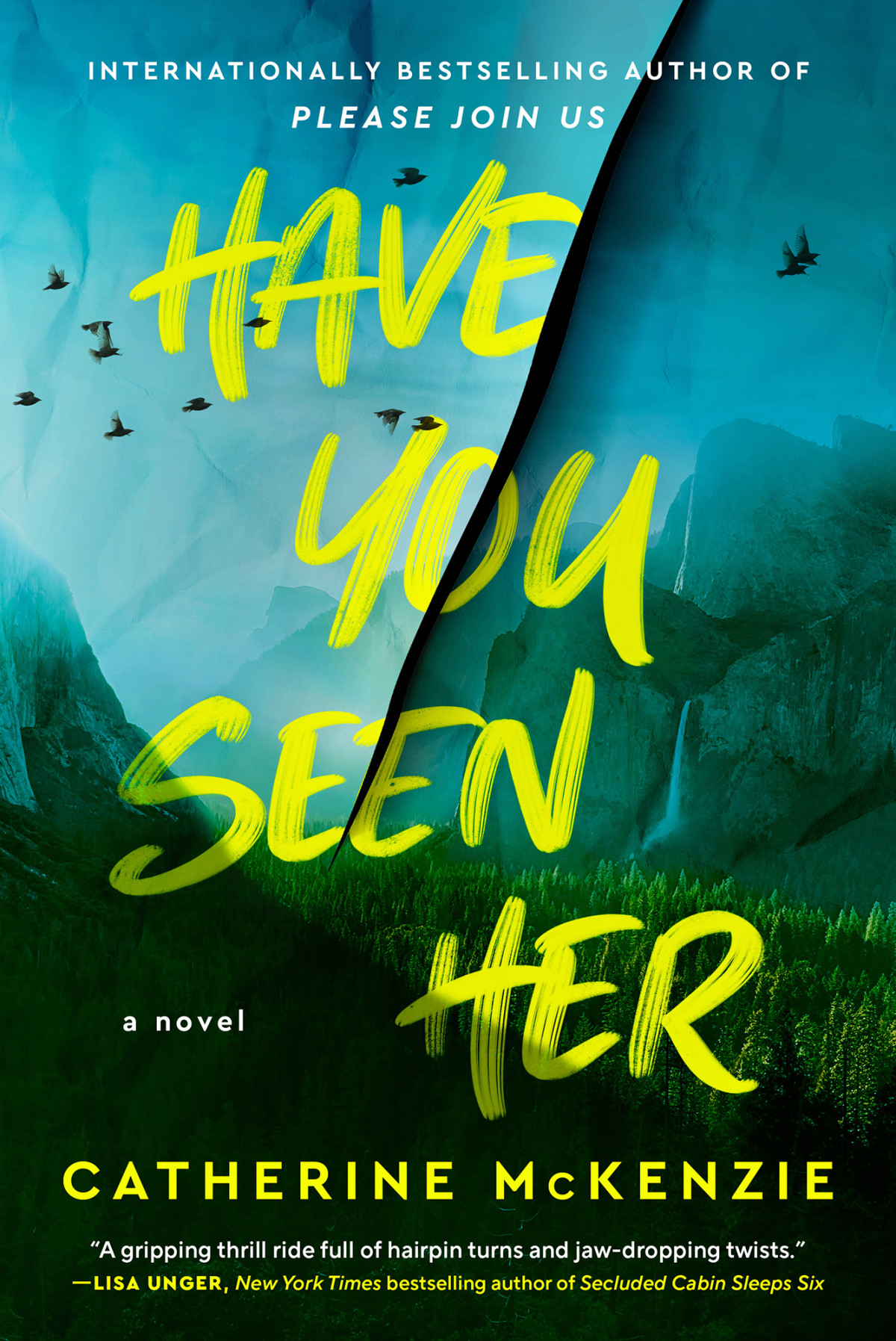 Have You Seen Her A Novel Catherine Mckenzie