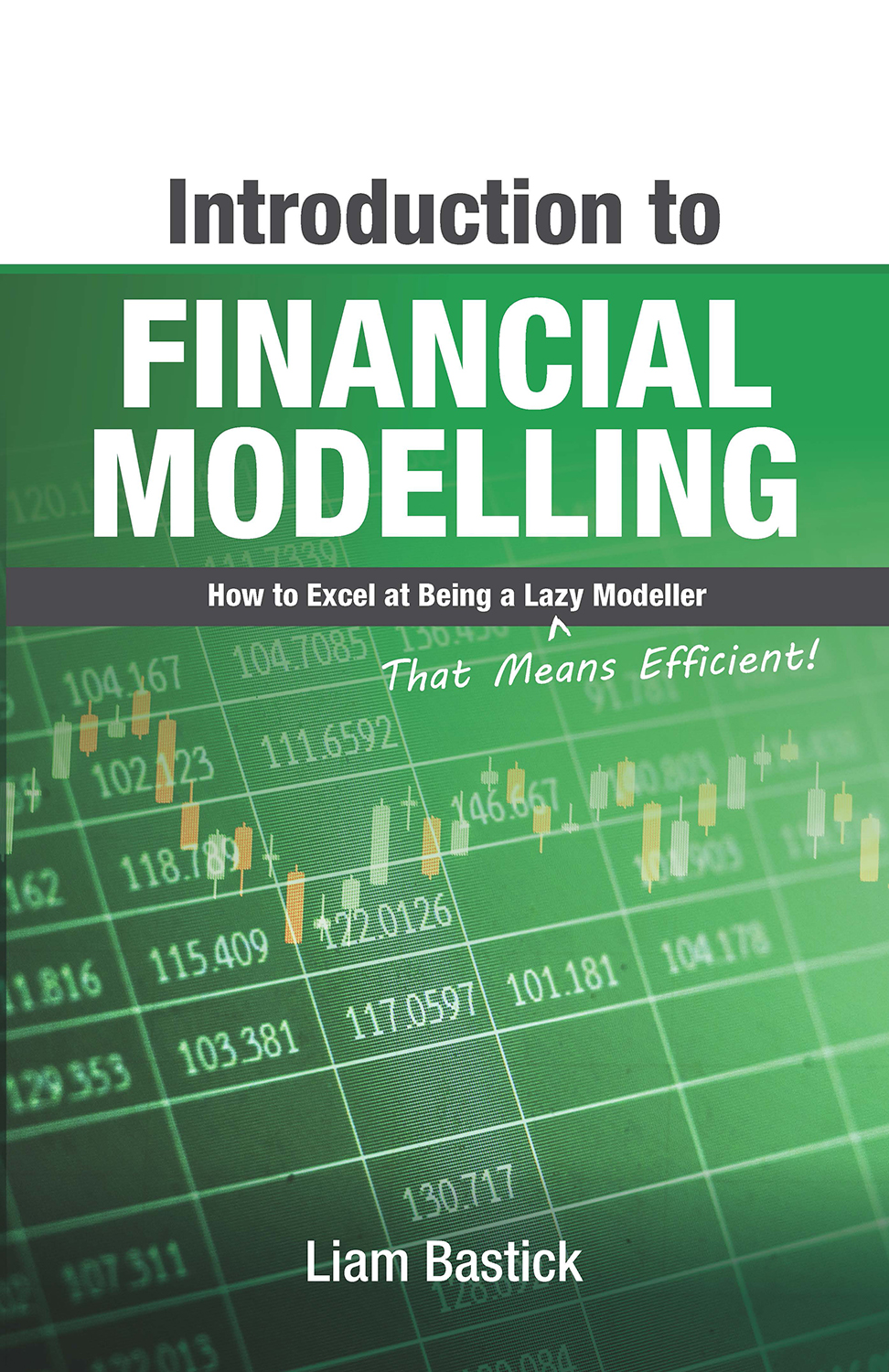 Introduction To Financial Modelling Liam Bastick