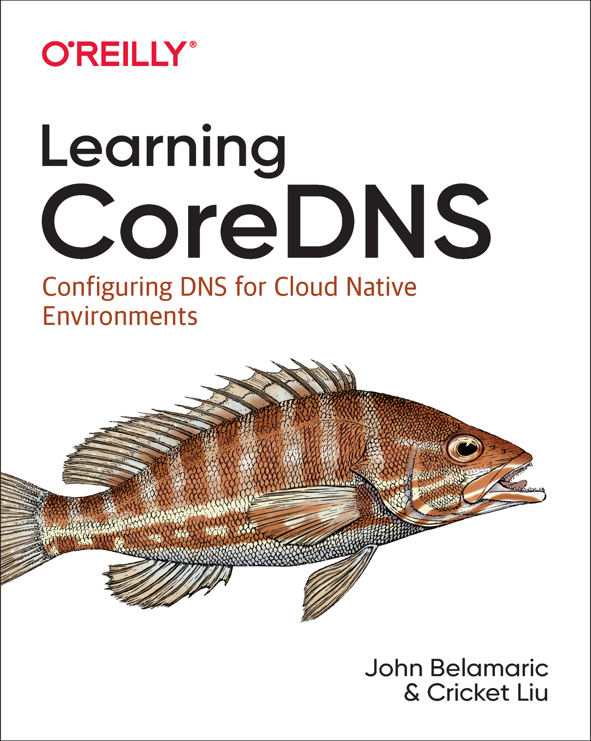 Learning Coredns John Belamaric And Cricket Liu