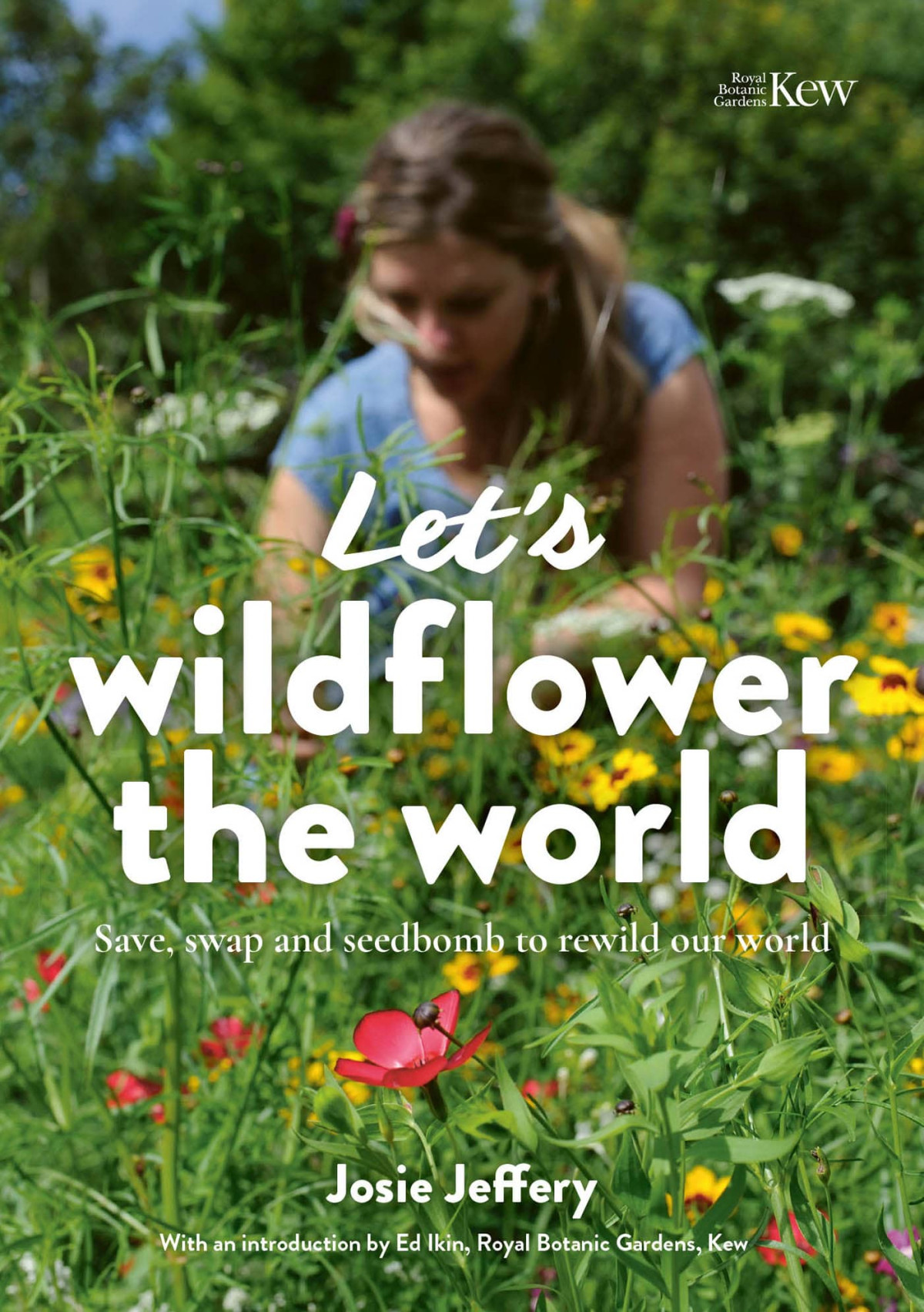 Lets Wildflower The World Save Swap And Seedbomb To Rewild Our World Josie Jeffery