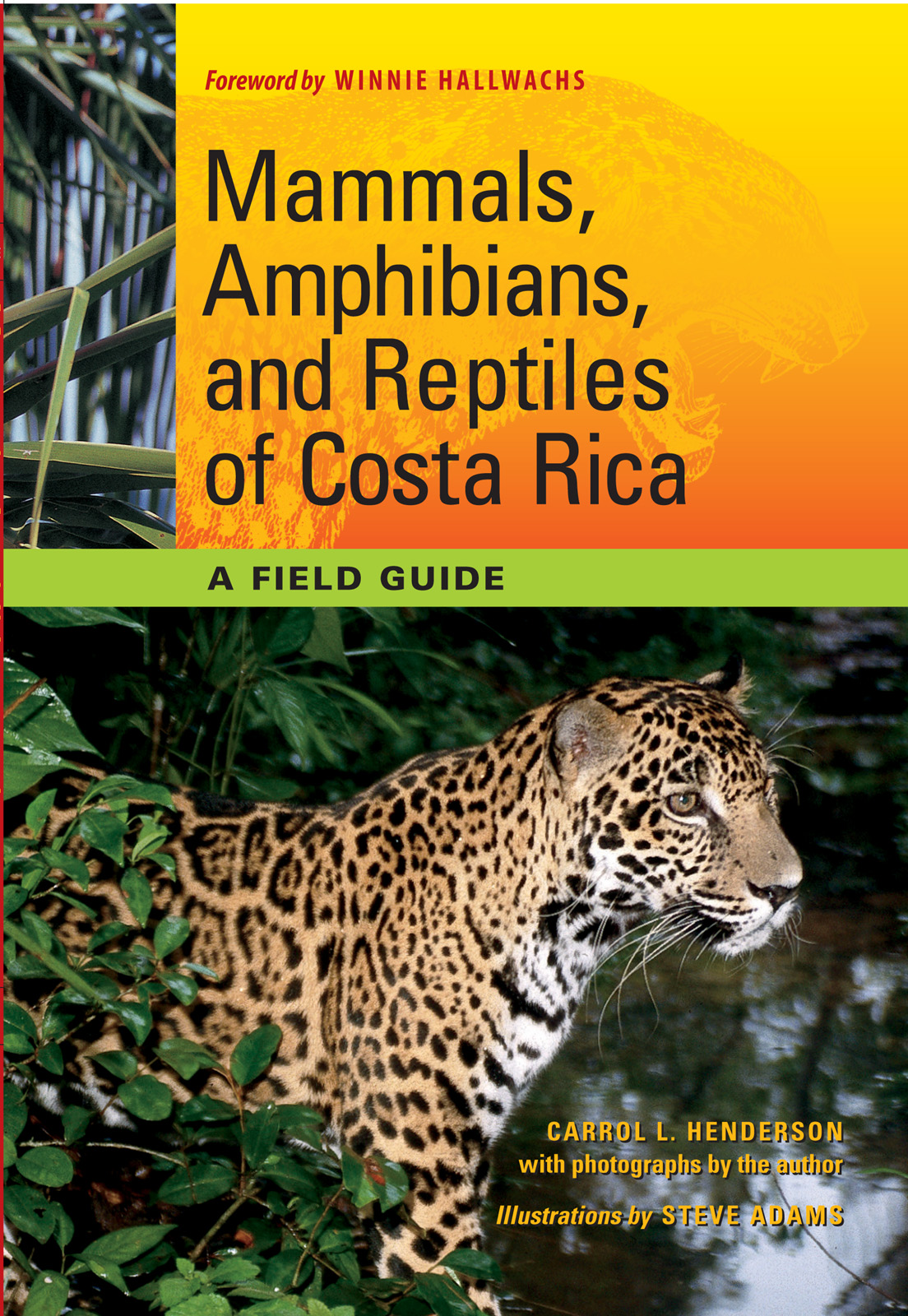 Mammals Amphibians And Reptiles Of Costa Rica Carrol L Henderson
