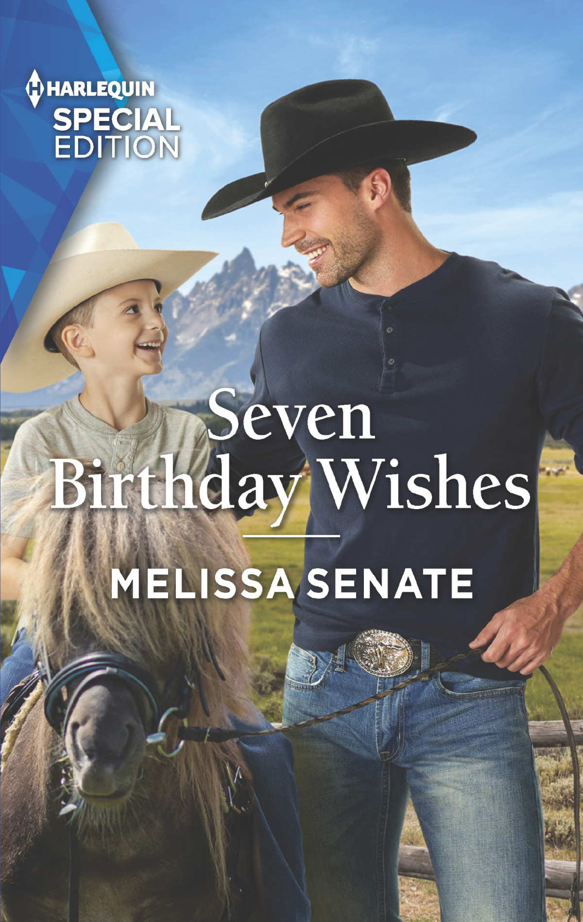 Seven Birthday Wishes Melissa Senate