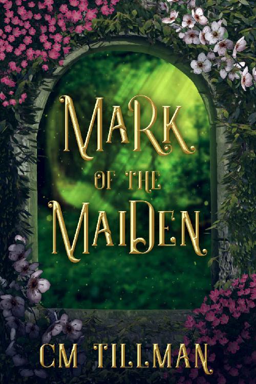 Mark Of The Maiden Deal With The Demon Book 2 Cm Tillman