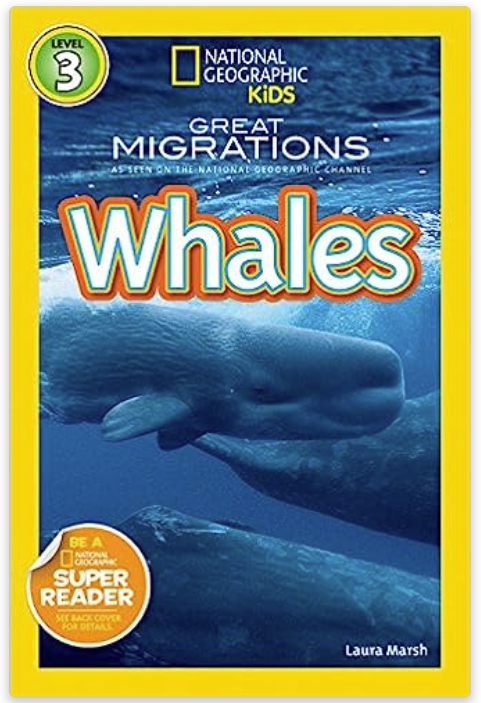 Whales Laura Marsh