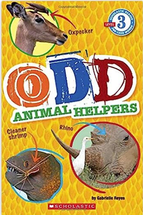 Odd Animal Helpers Gabrielle Reyes