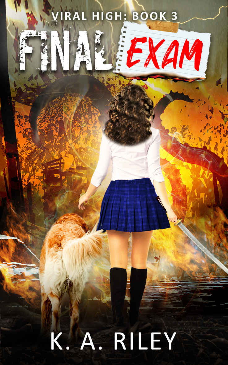 Final Exam An Apocalyptic Dark Comedy Viral High Book 3 1st Edition K A Riley