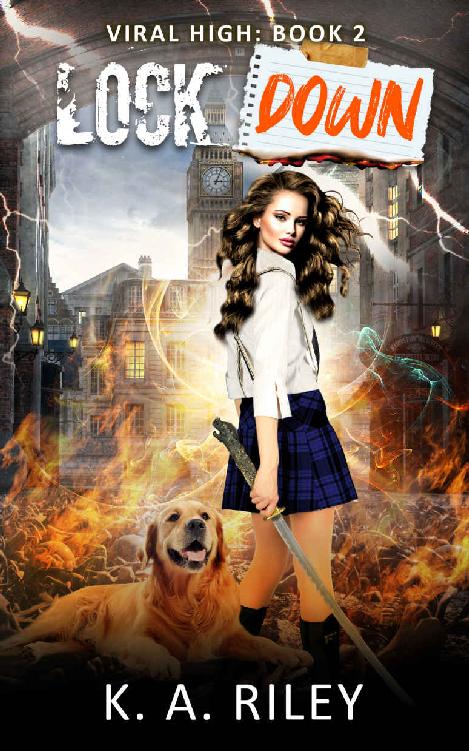 Lockdown An Apocalyptically Dark Comedy Viral High Book 2 1st Edition K A Riley