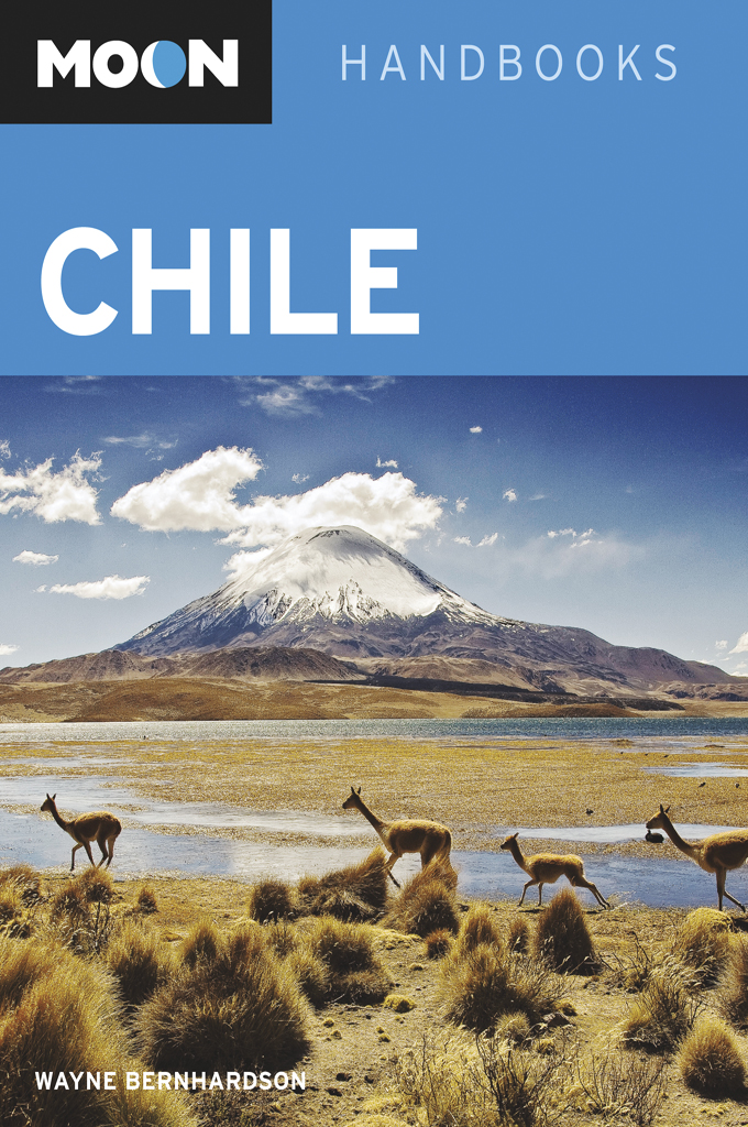 Moon Chile Wayne Bernhardson