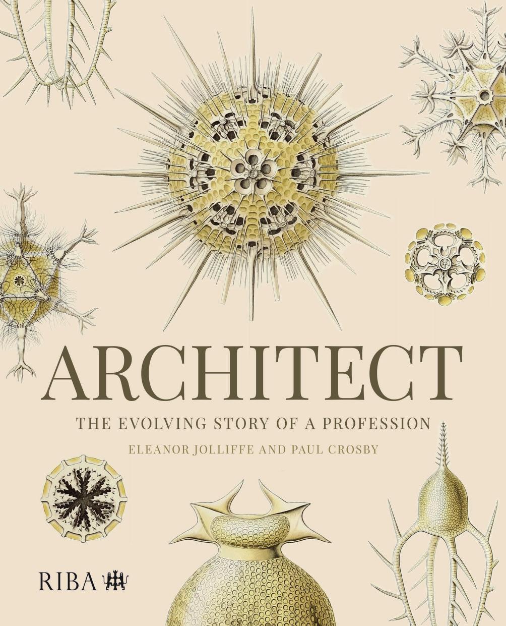 Architect The Evolving Story Of A Profession Eleanor Jolliffe Paul Crosby