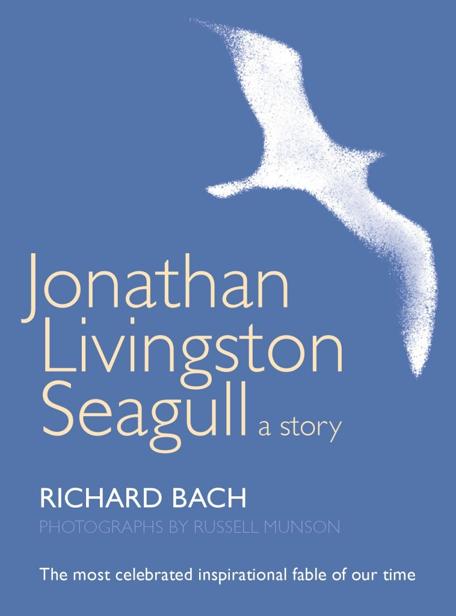 Jonathan Livingston Seagull 1st Edition Richard Bach