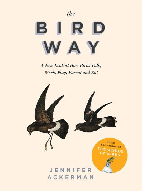 The Bird Way A New Look At How Birds Talk Work Play Parent And Think Jennifer Ackerman