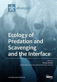 Ecology Of Predation And Scavenging And The Interface Marcos Molen
