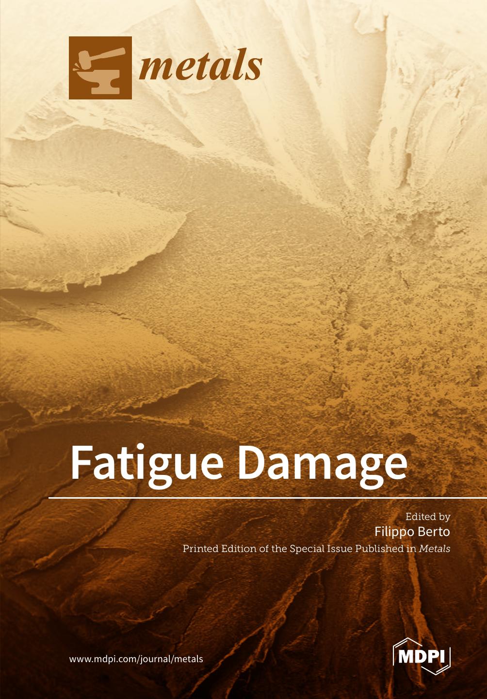 Fatigue Damage Filippo Berto