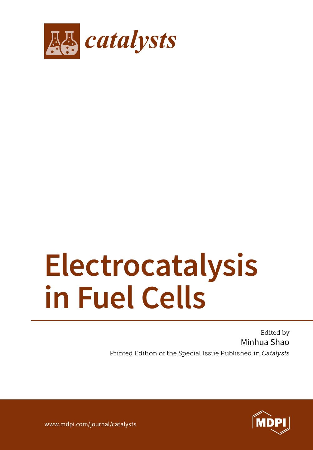 Electrocatalysis In Fuel Cells Minhua Shao
