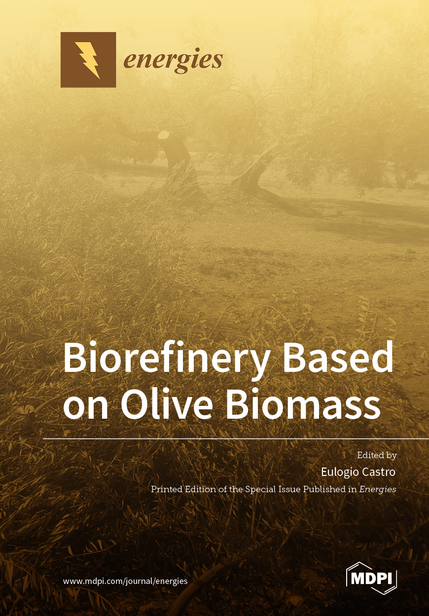 Biorefinery Based On Olive Biomass Eulogio Castro