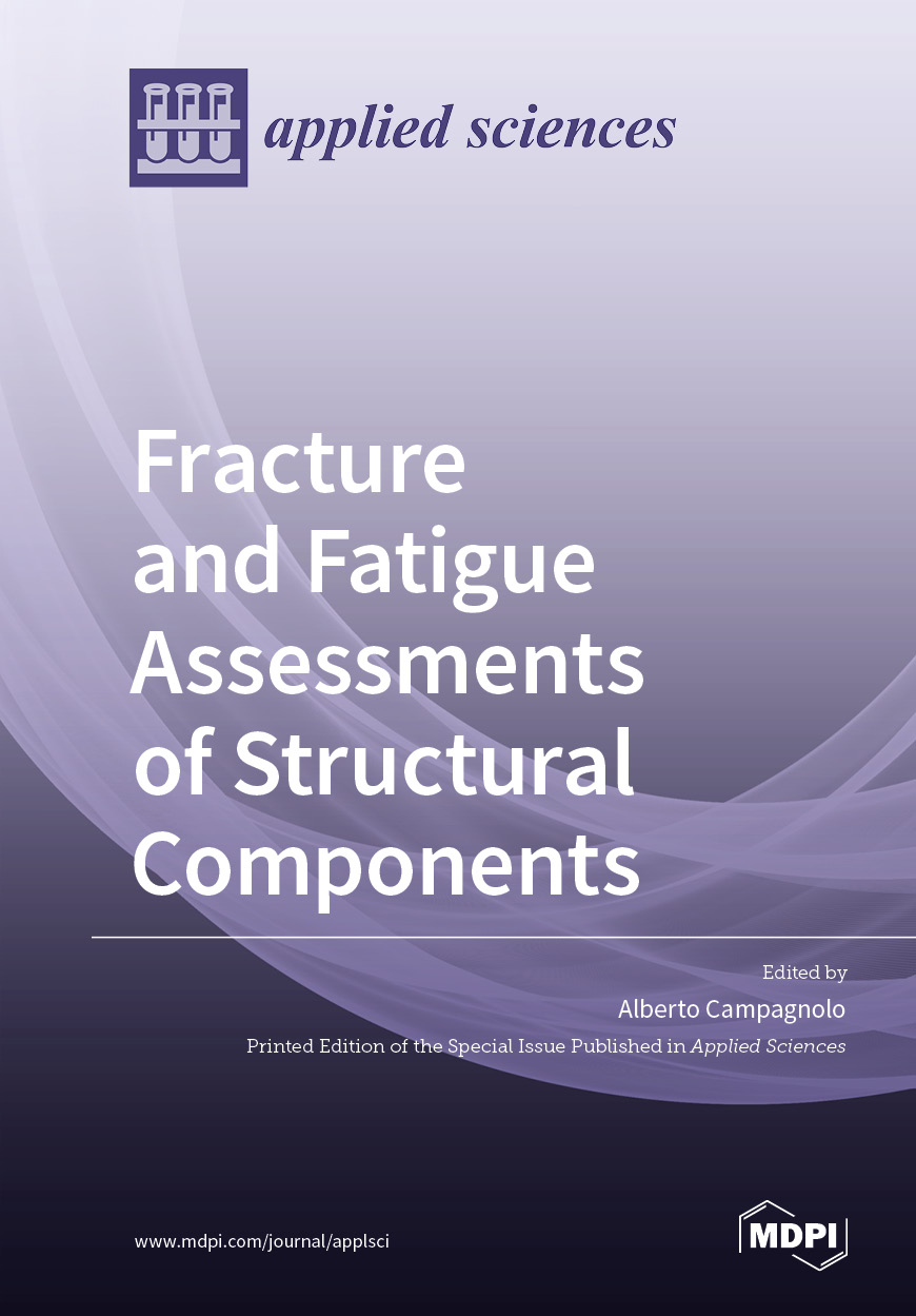 Fracture And Fatigue Assessments Of Structural Components Alberto Campagnolo
