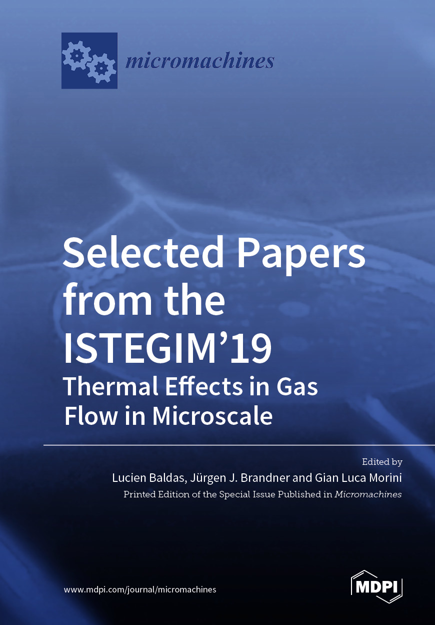 Selected Papers From The Istegim19 Lucien Baldas Jrgen Brandner