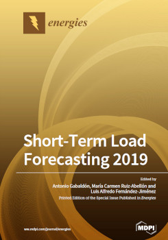 Shortterm Load Forecasting 2019 Antonio Gabaldón Dr María Carmen Ruizabellón