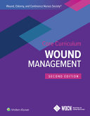 Core Curriculum Wound Management 2 2nd Edition Laurie L Mcnichol