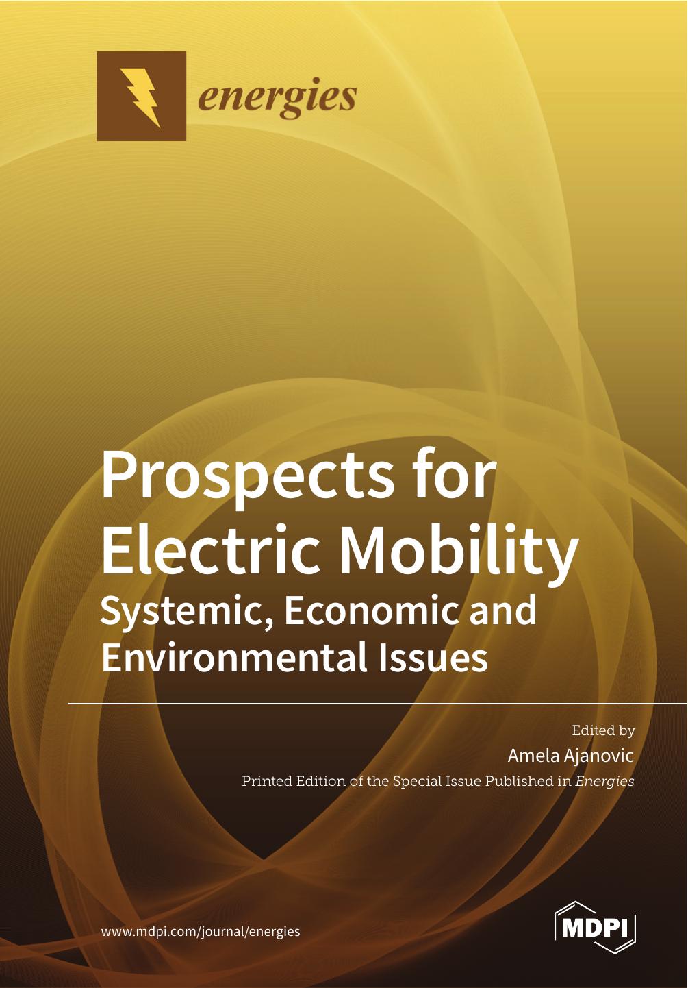 Prospects For Electric Mobility Systemic Economic And Environmental Issues Amela Ajanovic