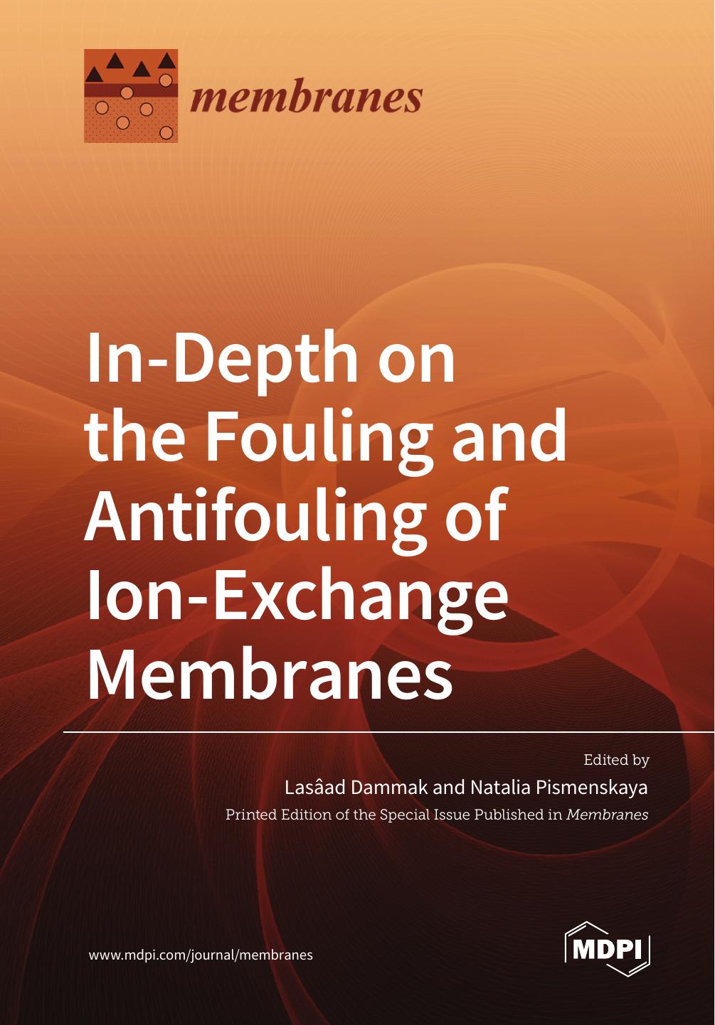 Indepth On The Fouling And Antifouling Of Ionexchange Membranes Lasad Dammak
