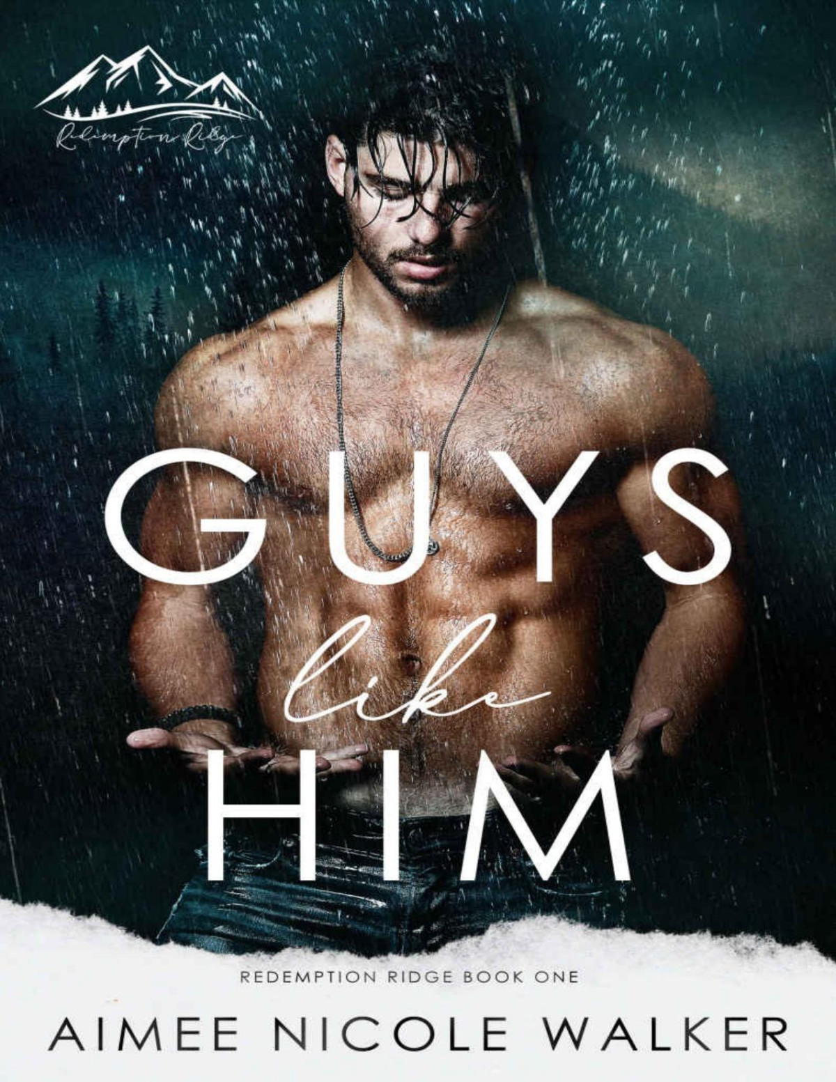 Guys Like Him Redemption Ridge Book One Aimee Nicole Walker