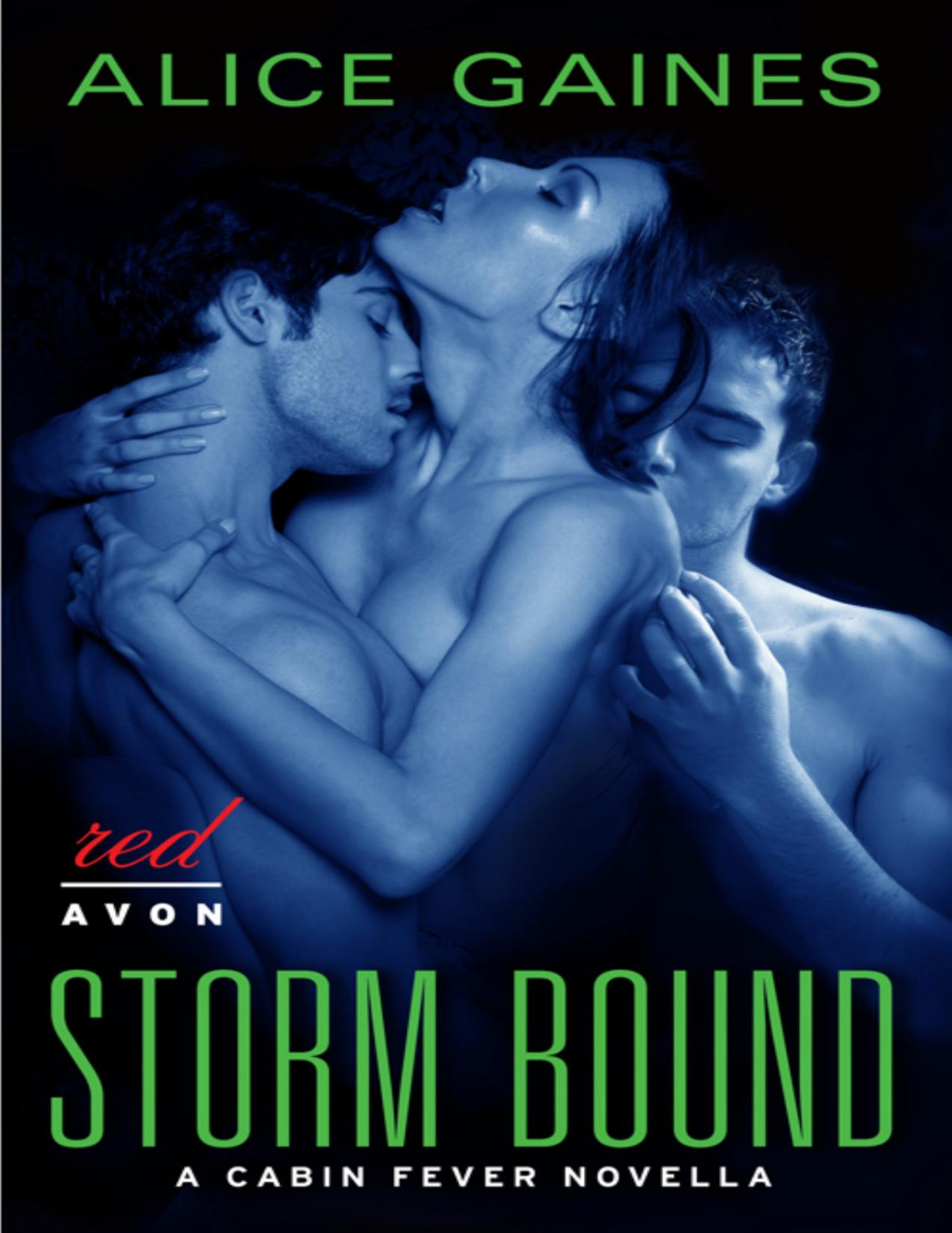 Storm Bound A Cabin Fever Novella Alice Gaines