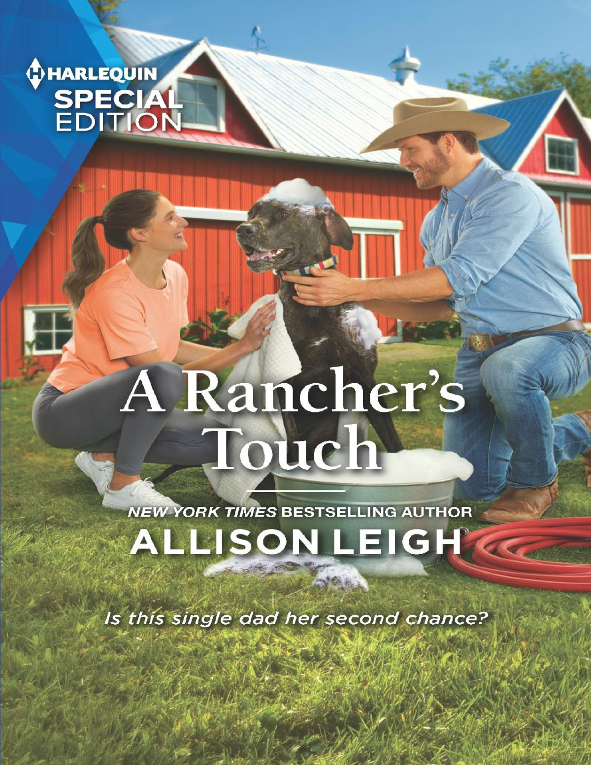 A Ranchers Touch Allison Leigh