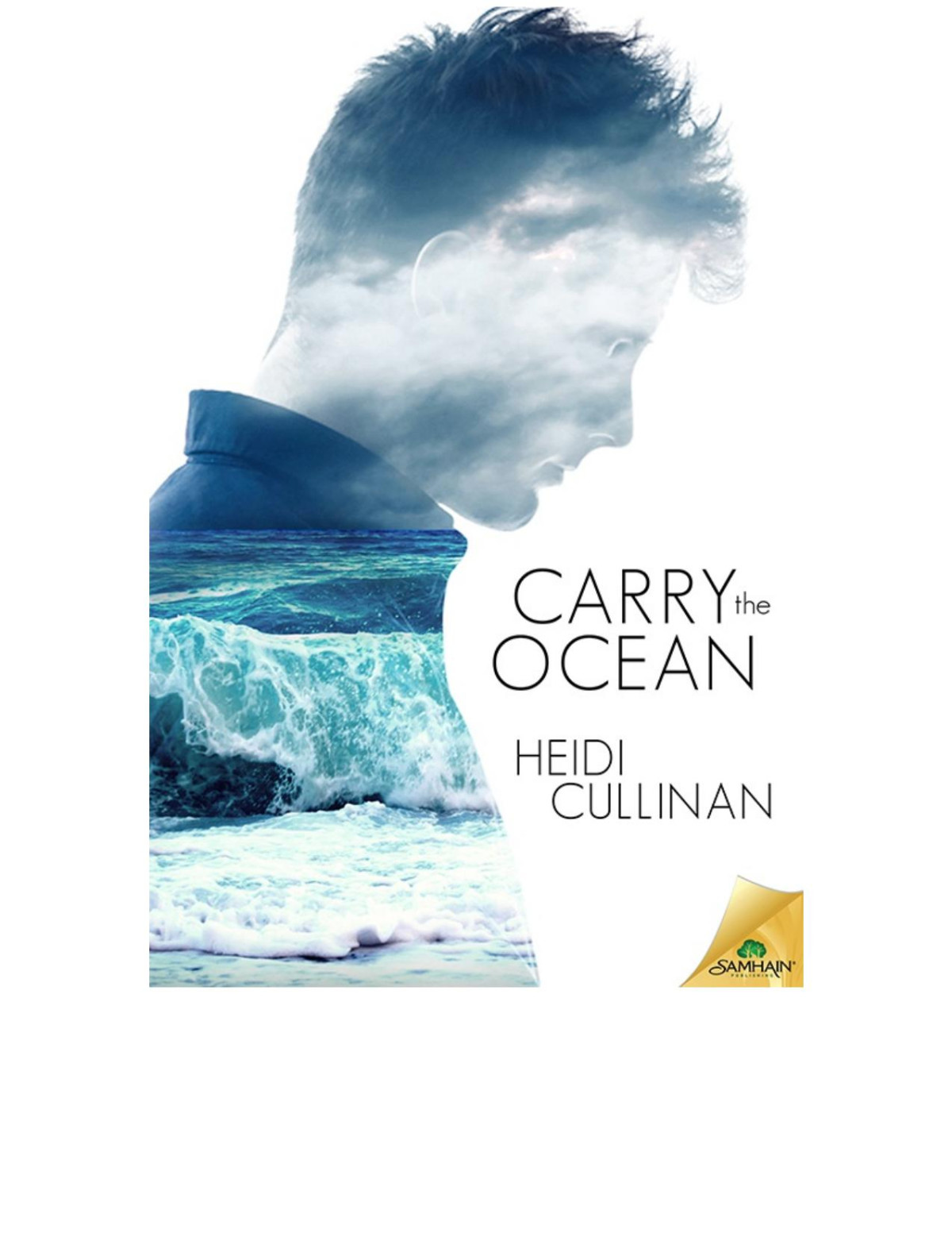 Carry The Ocean Heidi Cullinan