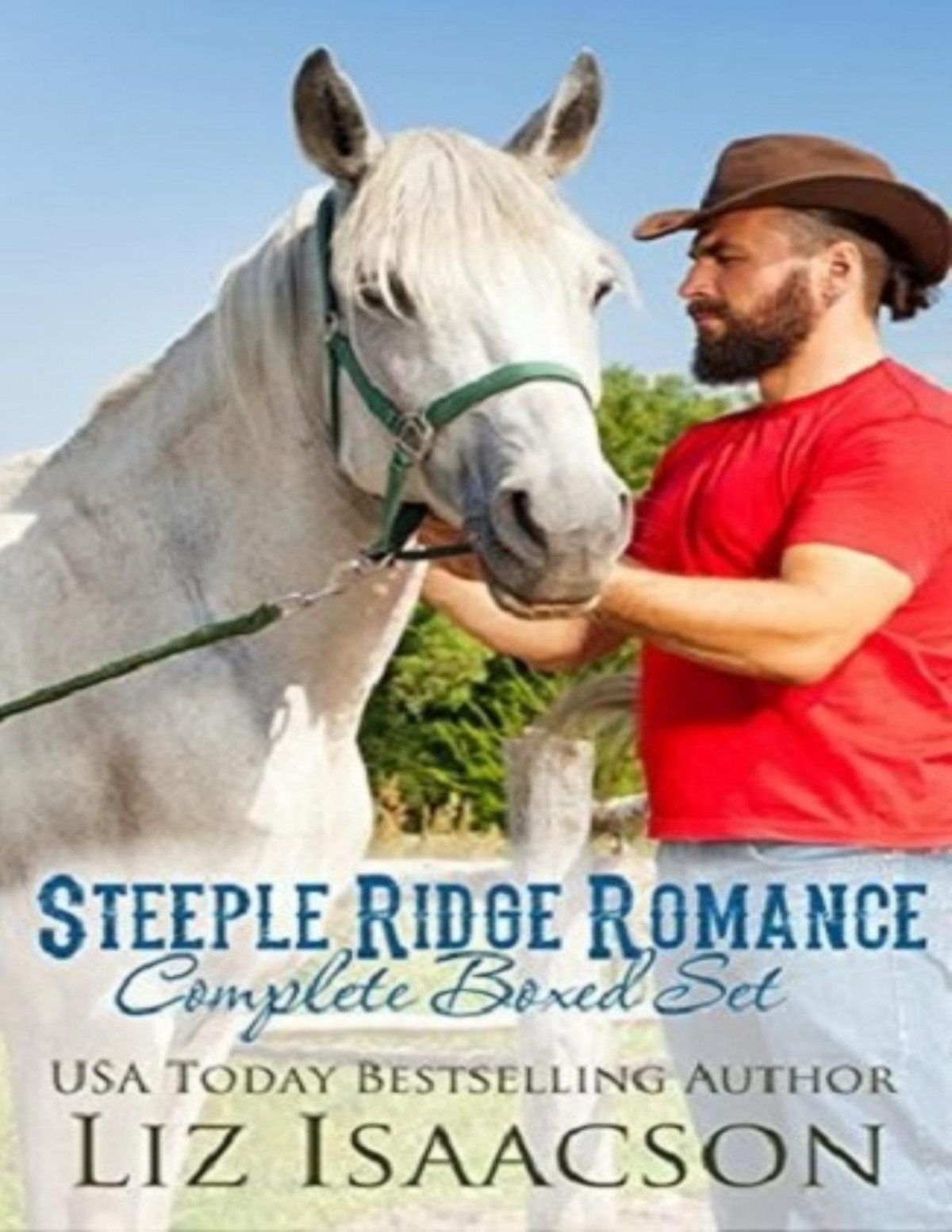 Steeple Ridge Romance Complete Collection Buttars Brothers Novels Liz Isaacson