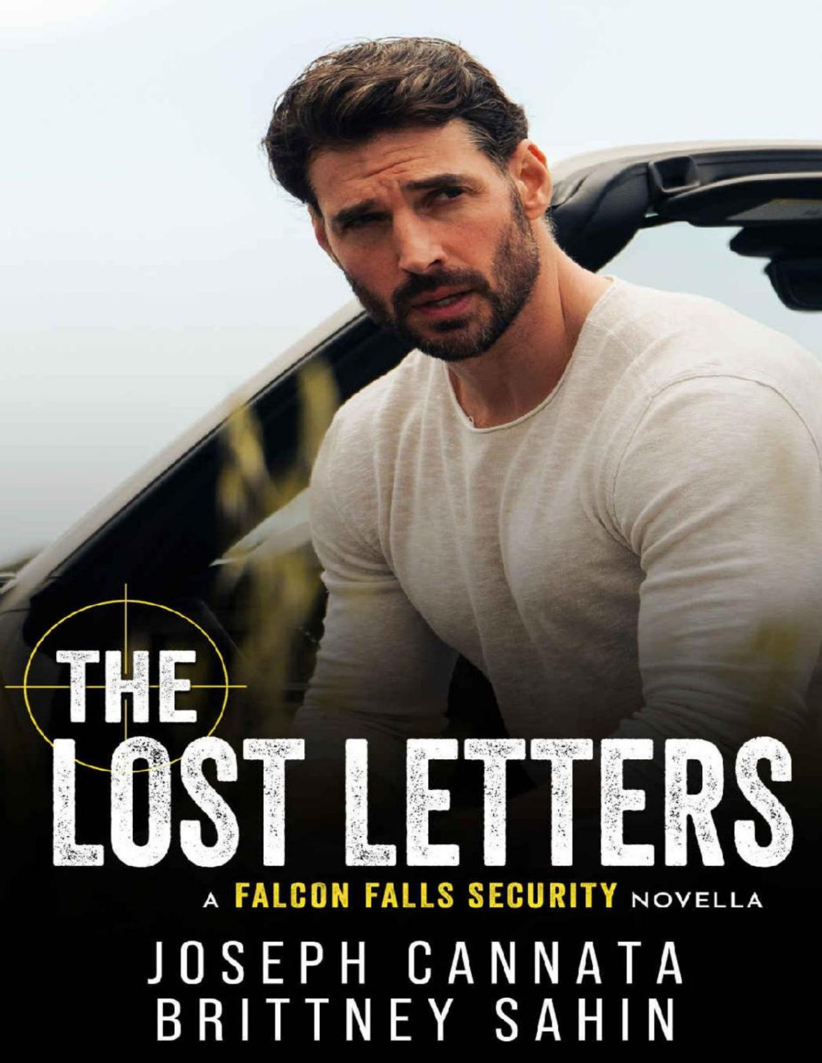 The Lost Letters A Falcon Falls Security Novella Brittney Sahin Joseph Cannata