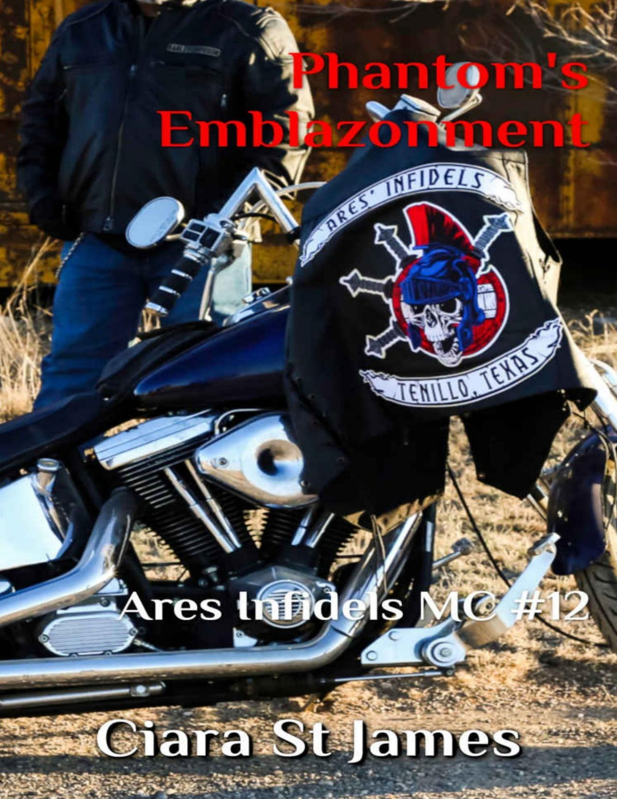 Phantoms Emblazonment Tenillo Guardians Aimc Book 12 Ciara St James