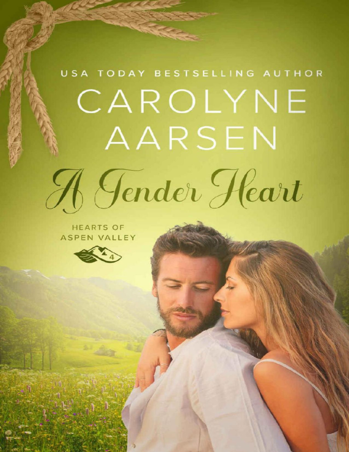 A Tender Heart A Sweet And Wholesome Romance Hearts Of Aspen Valley 4 Carolyne Aarsen