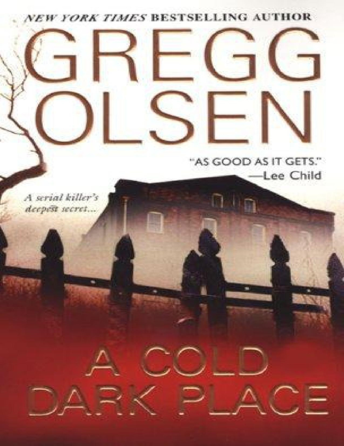 A Cold Dark Place Gregg Olsen