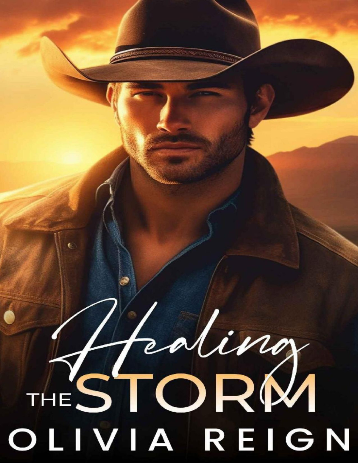 Healing The Storm A Small Town Enemies To Lovers Novel Olivia Reign