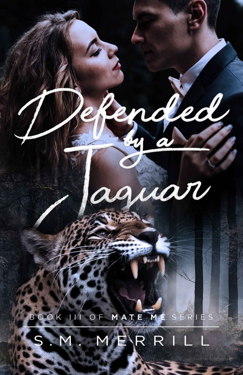 Defended By A Jaguar Mate Me Book 4 Sm Merrill