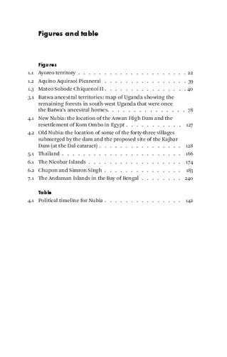 The Politics Of Indigeneity Dialogues And Reflections On Indigenous Activism Sita Venkateswar Emma Hughes